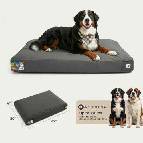 47 Inch Indestructible Dog Bed for Aggressive Chewers (Dark Grey / XX-Large)