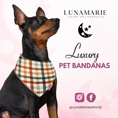 Luxury Pet Birthday Bandanas (Autumn / Small)