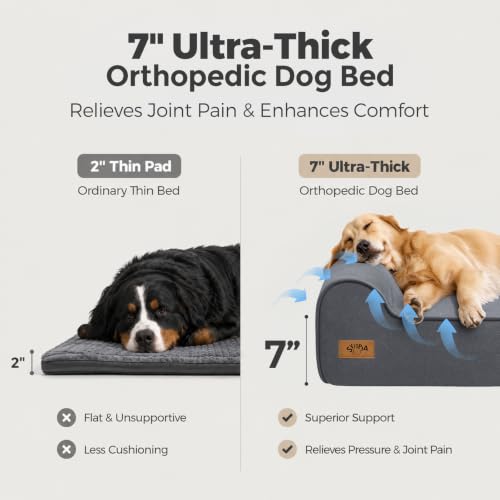 XXL 35D Memory Foam Dog Bed for Extra Large Dogs (XX-Large / Blue Grey)