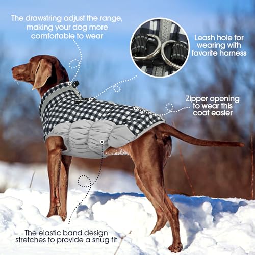 Dog Coat for Large Dogs (Checkerboard / XXXL(chest:43in))