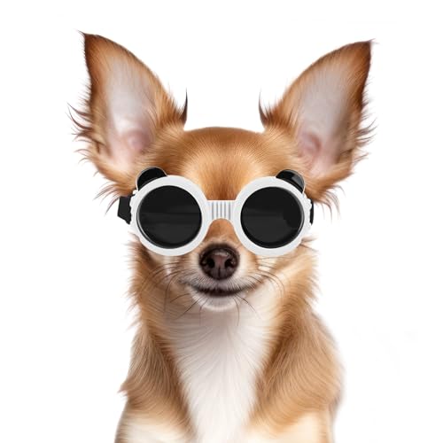 Dog Goggles for Small Breed UV (White / X-Small)