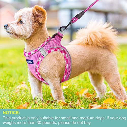 Dog Harness with Leash Set (L / Pink)