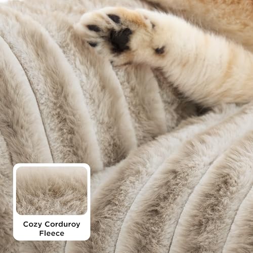 ComfyFleece® Shown on TV Fluffy Cat Couch for Pets (24x18x10" / Amphora)