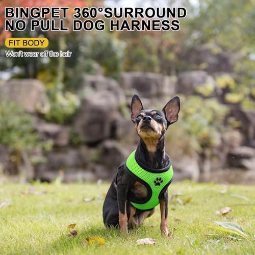 Small Dog Harness (XS (NECK: 10", CHEST: 10"-14") / Green)