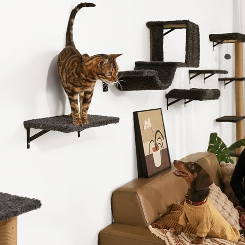 Cat Wall Shelves (Gray)