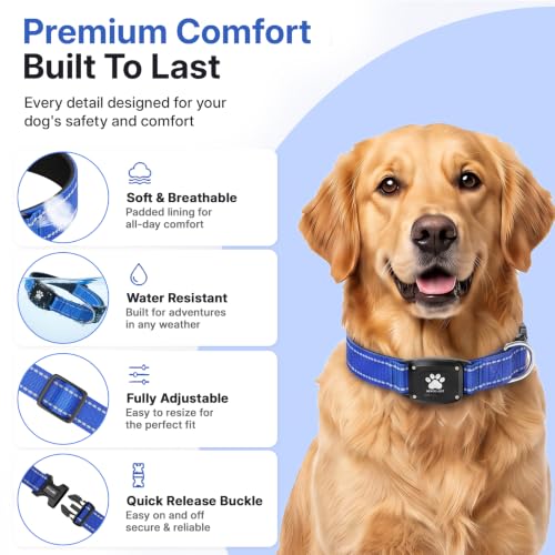 GPS Dog Collar with Tracker (Blue / M(14.5''-19.5''))