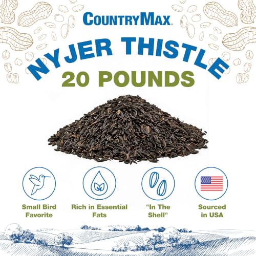 CountryMax 20LB Nyjer Seed for Finches & Songbirds
