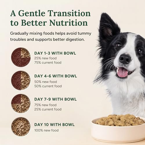 Freeze Dried Raw Dog Food (1 Pound (Pack of 1))