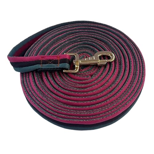 Premium Horse Training Lunge Line with Swivel Bolt for Accurate Equestrian Training of 26 Foot (26foot / Green/Black/Rose Red)