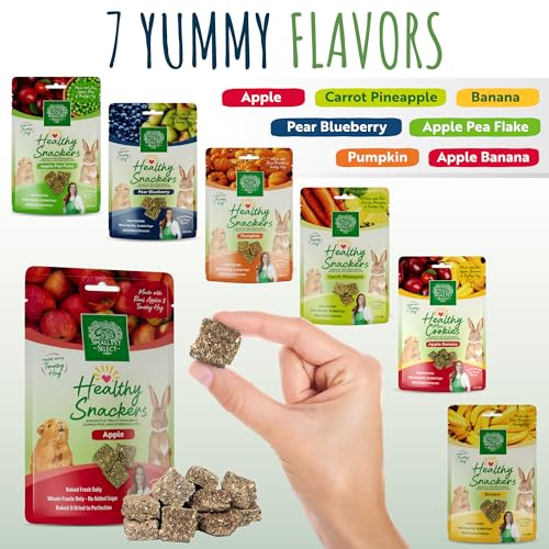 Healthy Snackers (2 Ounce (Pack of 1))