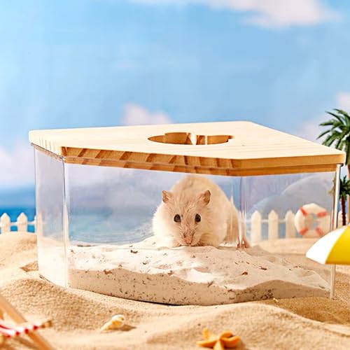 2.8lb Hamster Sand for Sand Bath (Beige-Flower / 2.8lb)