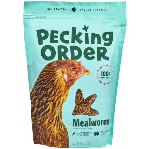 Dried Mealworms Treats for Chickens (10 Ounce (Pack of 1))