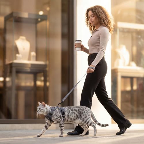 Cat Harness and Leash Set (Grey / Medium)