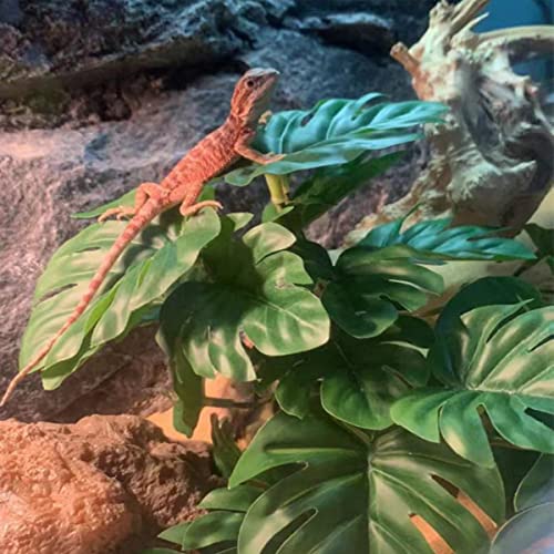 Fake Reptile Plants for Terrarium (Fake Monstera)