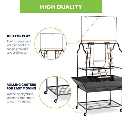 Parrot Play Stand with Wheels (Large)