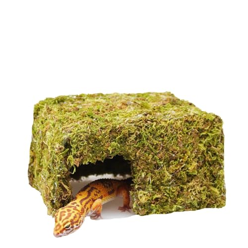 Leopard Gecko Tank Accessories