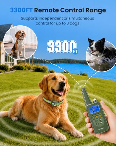 Shock Collar for 3 Dogs (for 3 dogs (D8 Green))