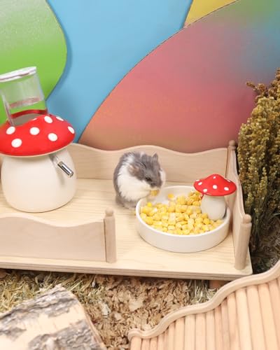 Hamster Snack & Treats Toy