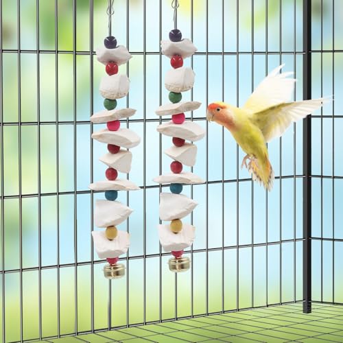 2 Pack Bird Toys with Cuttlebone (Small)