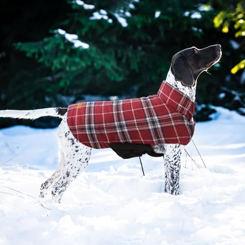 Waterproof Dog Coat (Red / Small (Pack of 1))