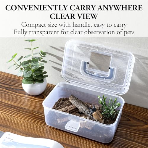 Reptile Carrier Critter Keeper Terrarium 9.5 x 6 Inch Clear Portable Tank with Black Carrying Handle