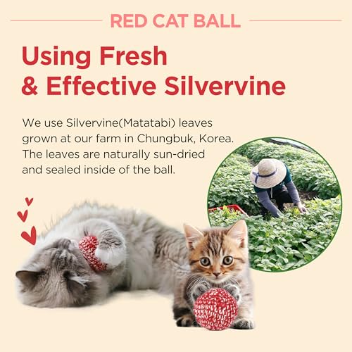 Red Cat Ball 2.7 inch (W/ Bell / 2.7inch)