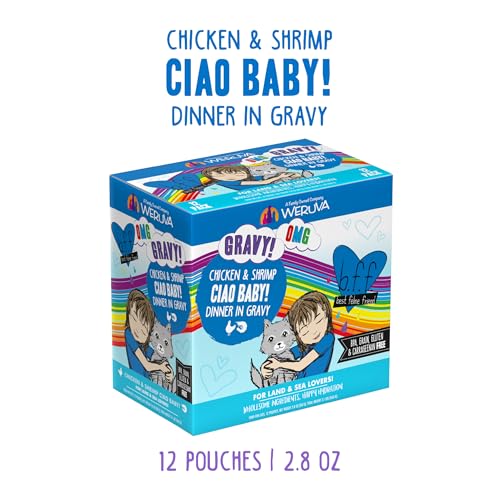 B.F.F. OMG Best Feline Friend Oh My Gravy! (2.8 Ounce (Pack of 12))