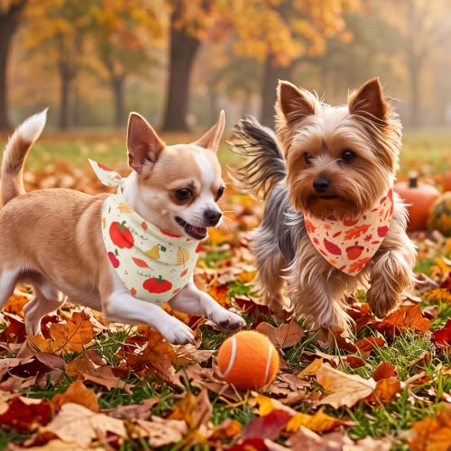 50 Pcs Fall Dog Bandanas Bulk (Fall Pumpkins / 19.7 x 13.8 x 13.8'')