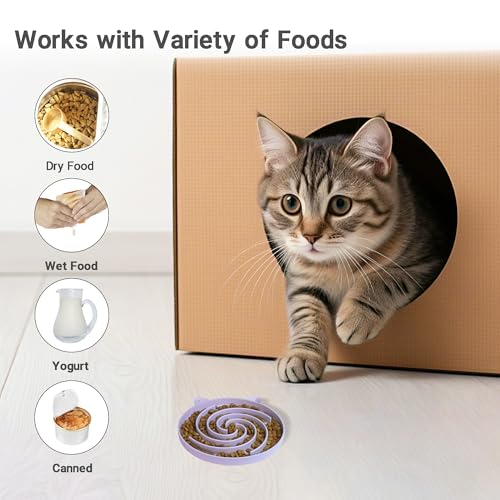Slow Feeder Cat Bowl (Purple and White)