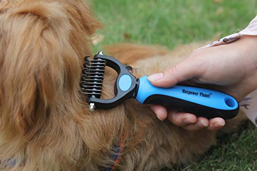 Pet Grooming Brush (Blue / Small)