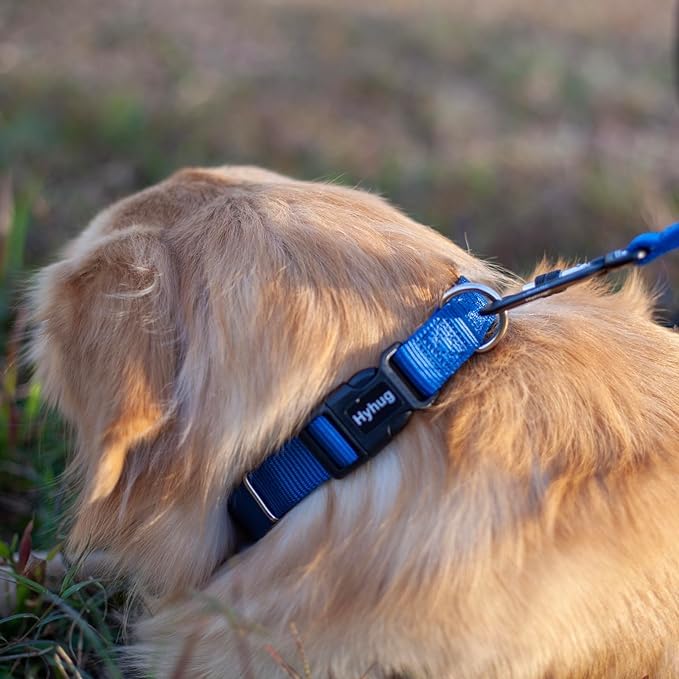 Blue Dog Collar for Medium Dogs (Medium / Classic Blue)