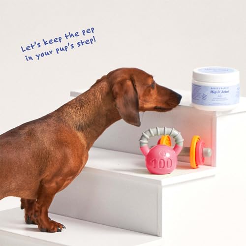 Hip & Joint Supplement Chews