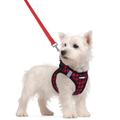 Dog Harness Small Sized and Leash Set (Red Check / S (chest: 15.1 - 16.5"))