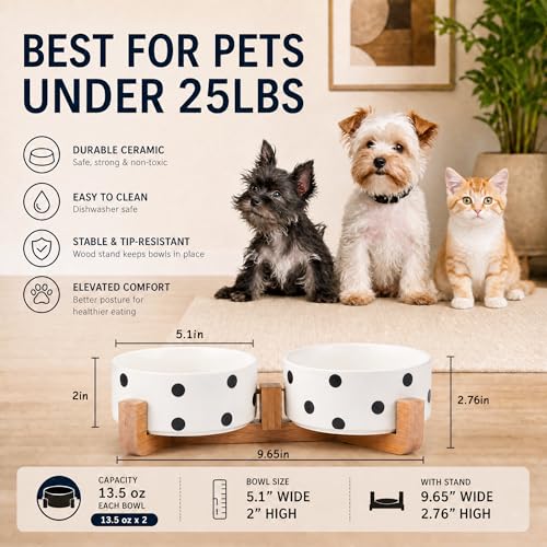 Ceramic Dog Bowl Set with Stand (Black Dot / 400ML*2)