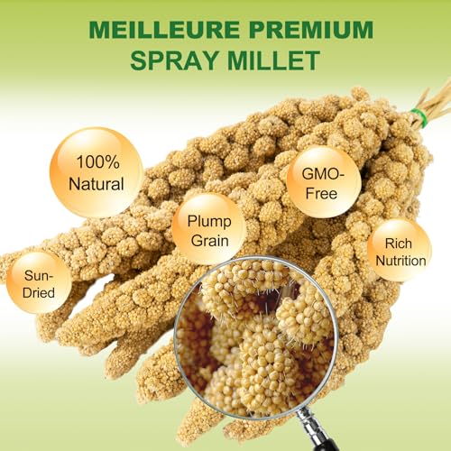 2LB Spray Millet Bird Treat for Parakeets