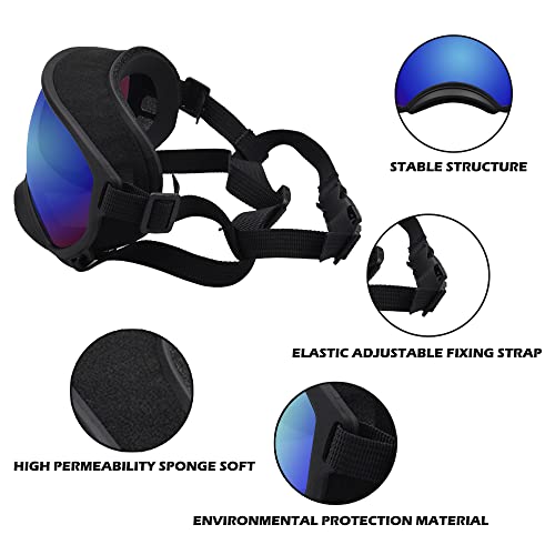 Large Dog Sunglasses