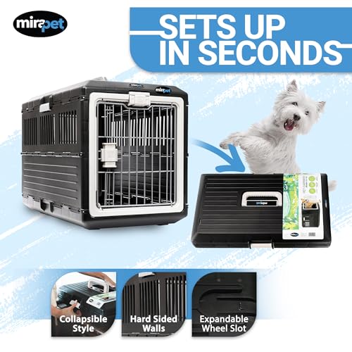 Collapsible Pet Carrier (Medium - Gray / without kit)