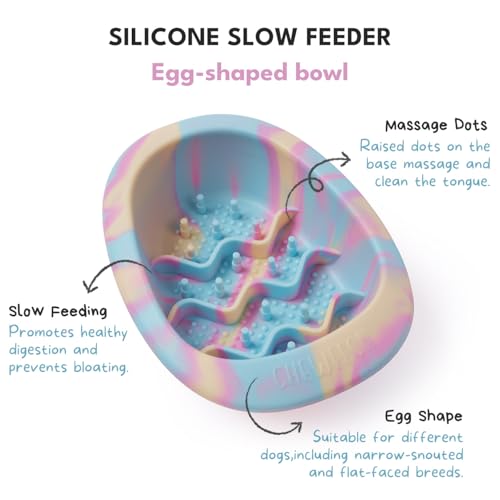 Dog & Cat Lick Mat Bowl with Suction Cups (Rainbow / Small)