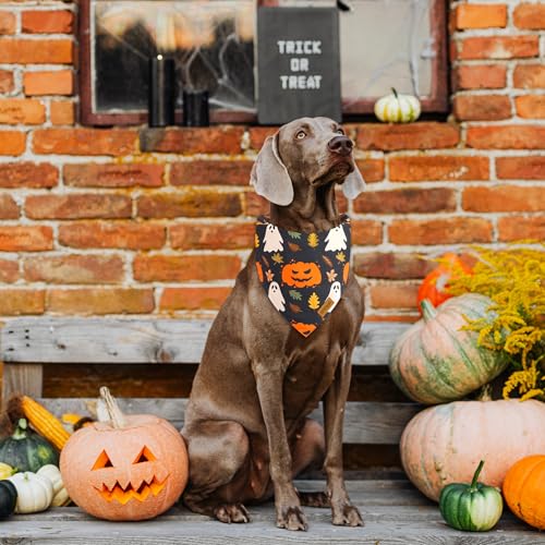 Halloween Dog Bandanas (Large / Halloween- Orange, Black)