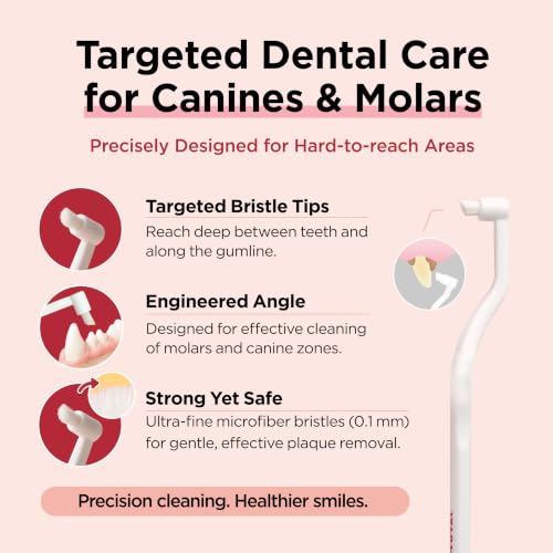 Dental Care Brush with Edge Bristles 1ea (Edge Bristles / 1 Count (Pack of 1))