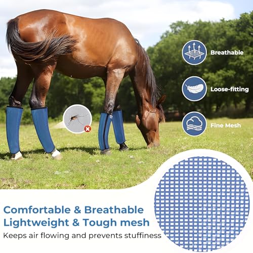 Mesh Horse Fly Boots Set of 4 (Blue)