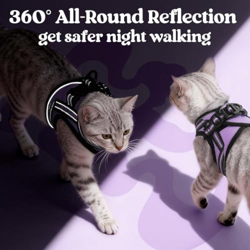 Cat Harness and Leash Set (XL / Light Purple)