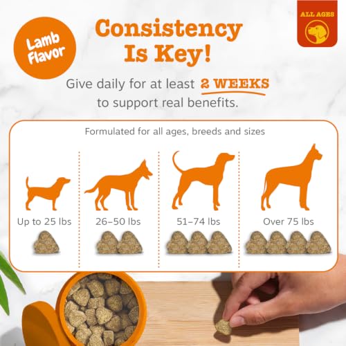 Dog Allergy Chews (90 Count (Pack of 1) - Standard)