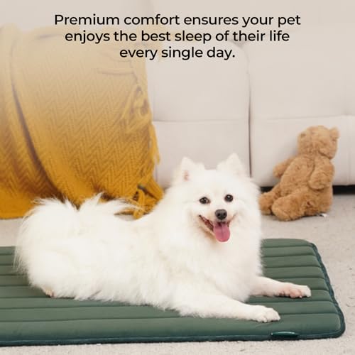 Dog Crate Pad (42.0"L x 28.0"W x 0.8"Th / Green, 1 Pack)