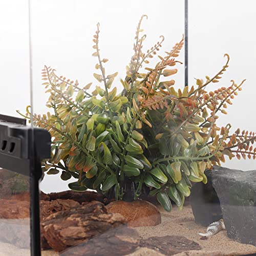 Fall Colors Boston Fern (J-fake Fall Colors Boston Fern)