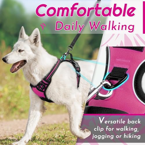 Dog Harness for Small Dogs (Small / Rose Red)