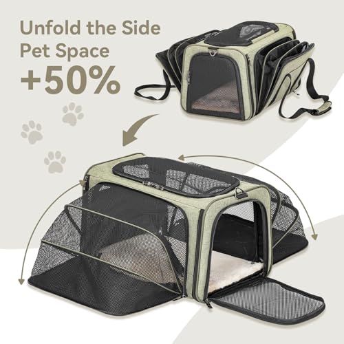 Small Double Expandable Cat Carrier for Kittens and Air Travel (16.0"L x 10.0"W x 9.0"H / Green)