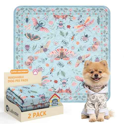 Washable Reusable Pee Pads for Dogs (Blue-03 / 3FT x 3FT (Pack of 2))