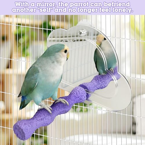 2 PCS Bird Mirror with Perch Resin Parakeet Perches Hanging Parrot Toys Interactive Bird Cage Accessories for Cockatiel Conure Lovebird Finch