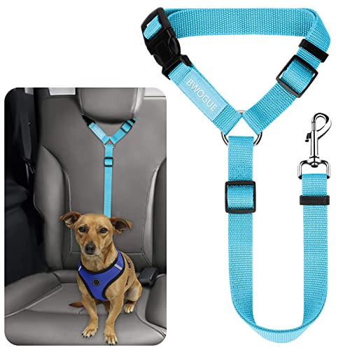 Dog Seat Belt for Car (Blue)